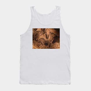 Stone-age cave paintings, Chauvet, France (C009/7647) Tank Top